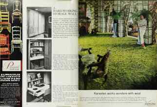Better Homes & Gardens April 1965 Magazine Article: Page 20