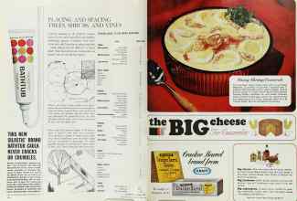 Better Homes & Gardens April 1965 Magazine Article: Page 124