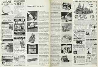 Better Homes & Gardens April 1965 Magazine Article: Page 176