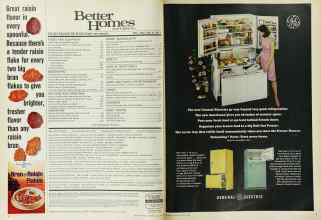 Better Homes & Gardens May 1965 Magazine Article: Page 4