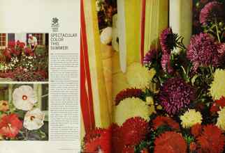 Better Homes & Gardens May 1965 Magazine Article: Page 70