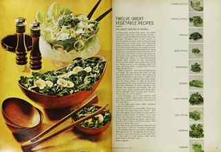 Better Homes & Gardens May 1965 Magazine Article: Page 80