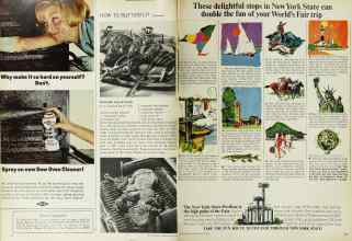 Better Homes & Gardens May 1965 Magazine Article: Page 110