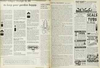 Better Homes & Gardens June 1965 Magazine Article: Page 116