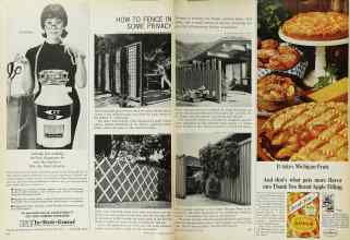 Better Homes & Gardens June 1965 Magazine Article: HOW TO FENCE IN SOME PRIVACY