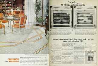 Better Homes & Gardens July 1965 Magazine Article: Page 2