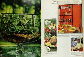 Better Homes & Gardens July 1965 Magazine Article: Page 69