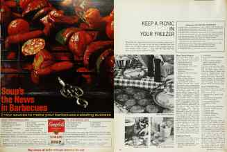 Better Homes & Gardens July 1965 Magazine Article: Page 81