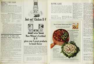 Better Homes & Gardens July 1965 Magazine Article: Page 85