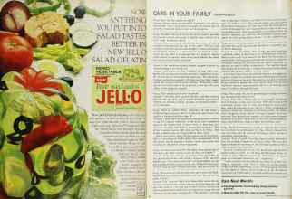 Better Homes & Gardens July 1965 Magazine Article: Page 87