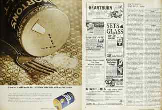 Better Homes & Gardens July 1965 Magazine Article: Page 95