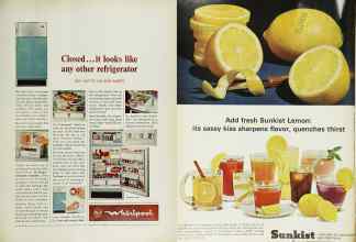 Better Homes & Gardens July 1965 Magazine Article: Page 97