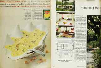 Better Homes & Gardens July 1965 Magazine Article: Page 101