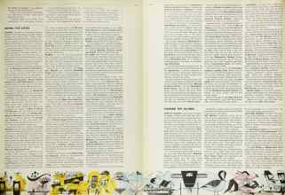 Better Homes & Gardens July 1965 Magazine Article: Page 115