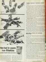 Better Homes & Gardens August 1965 Magazine Article: HOW GOOD IS GROUP LIFE INSURANCE PROTECTION?