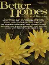 Better Homes & Gardens August 1965 Magazine Cover