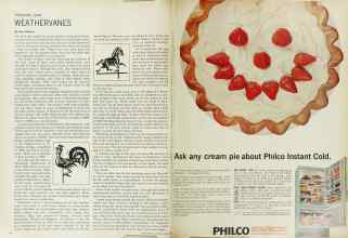 Better Homes & Gardens August 1965 Magazine Article: Page 96