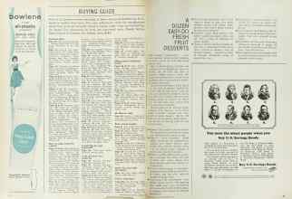 Better Homes & Gardens August 1965 Magazine Article: Page 98