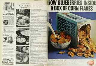 Better Homes & Gardens September 1965 Magazine Article: Page 108