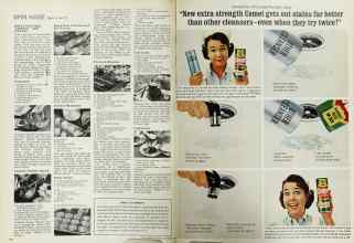 Better Homes & Gardens November 1965 Magazine Article: Page 110