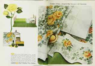 Better Homes & Gardens November 1965 Magazine Article: Page 114