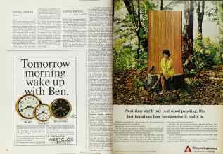 Better Homes & Gardens November 1965 Magazine Article: Page 124