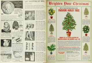 Better Homes & Gardens December 1965 Magazine Article: Page 102
