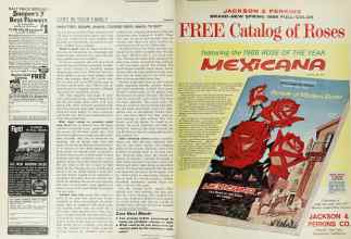 Better Homes & Gardens January 1966 Magazine Article: Page 14