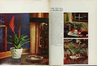 Better Homes & Gardens January 1966 Magazine Article: Page 42