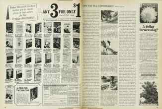 Better Homes & Gardens January 1966 Magazine Article: Page 104