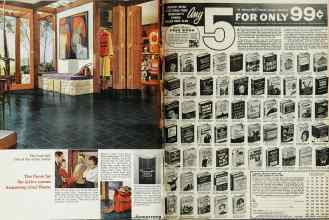 Better Homes & Gardens February 1966 Magazine Article: Page 2