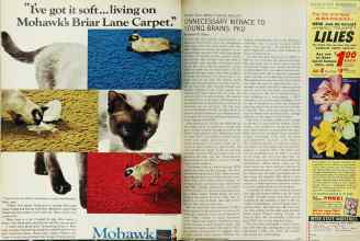 Better Homes & Gardens February 1966 Magazine Article: Page 24