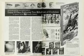 Better Homes & Gardens February 1966 Magazine Article: Page 32