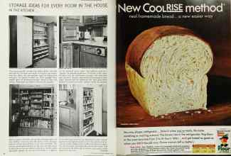 Better Homes & Gardens February 1966 Magazine Article: Page 42