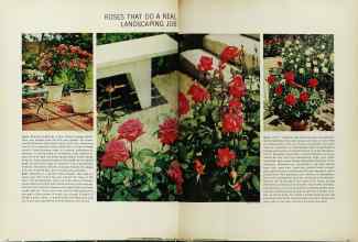 Better Homes & Gardens February 1966 Magazine Article: Page 68