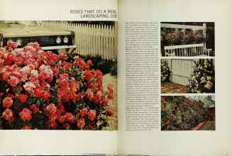 Better Homes & Gardens February 1966 Magazine Article: Page 70