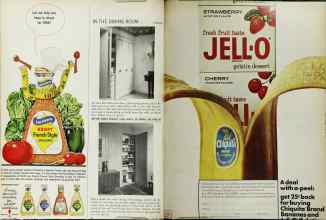 Better Homes & Gardens February 1966 Magazine Article: Page 94