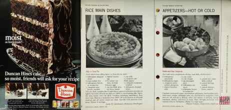 Better Homes & Gardens February 1966 Magazine Article: Page 100