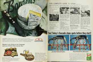 Better Homes & Gardens February 1966 Magazine Article: Page 104