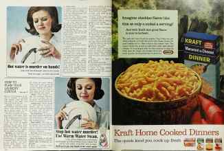 Better Homes & Gardens February 1966 Magazine Article: Page 108