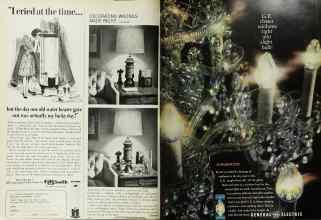 Better Homes & Gardens February 1966 Magazine Article: Page 118