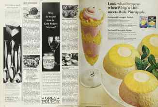 Better Homes & Gardens March 1966 Magazine Article: Page 100