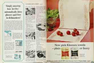 Better Homes & Gardens March 1966 Magazine Article: Page 108