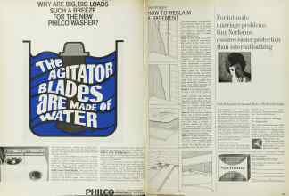 Better Homes & Gardens March 1966 Magazine Article: Page 124