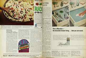 Better Homes & Gardens March 1966 Magazine Article: Page 142