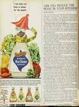 Better Homes & Gardens May 1966 Magazine Article: CAN YOU REDUCE THE NOISE IN YOUR KITCHEN?