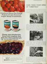 Better Homes & Gardens May 1966 Magazine Article: EVER TRIED YOUR HAND AT TOMATOES?