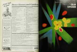 Better Homes & Gardens June 1966 Magazine Article: Page 4