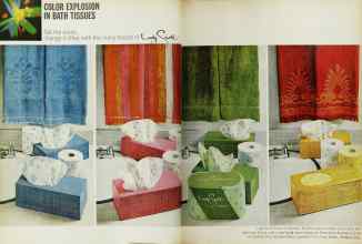 Better Homes & Gardens June 1966 Magazine Article: Page 6