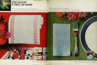 Better Homes & Gardens June 1966 Magazine Article: Page 8